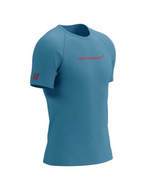 Camiseta Compressport Entrenamiento SS Logo Tshirt M Hombre Azules | UFSGE1964