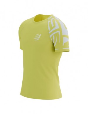 Camiseta Compressport Entrenamiento SS Tshirt M Unisex Verdes | FNXGW4082